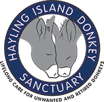 Hayling Island Donkeys