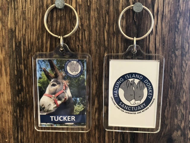 A29F40D0-2441-4BED-942F-1D8158E2DA3F